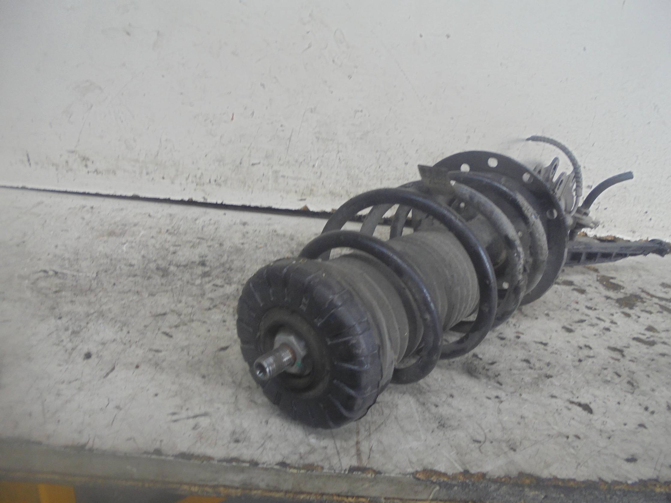 Ammortizzatore ant. sx.